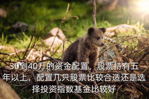 30到40萬的資金配置，股票持有五年以上，配置幾只股票比較合適還是選擇投資指數(shù)基金比較好