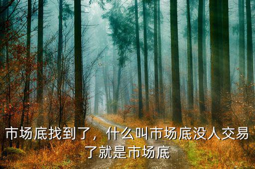 市場底找到了，什么叫市場底沒人交易了就是市場底