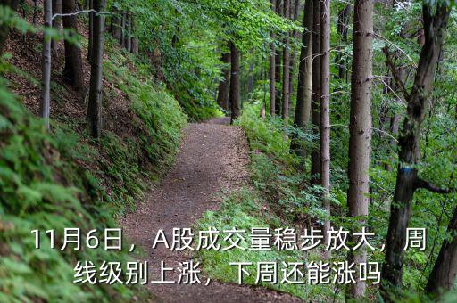 11月6日，A股成交量穩(wěn)步放大，周線級別上漲，下周還能漲嗎