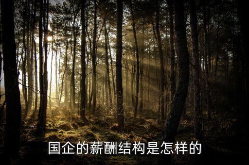 國企怎么走薪酬流程,應聘國企走流程要一個月