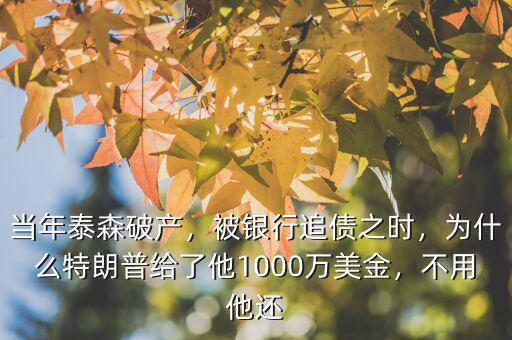 當年泰森破產(chǎn)，被銀行追債之時，為什么特朗普給了他1000萬美金，不用他還