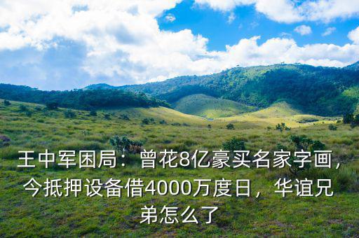 王中軍困局：曾花8億豪買名家字畫，今抵押設(shè)備借4000萬度日，華誼兄弟怎么了