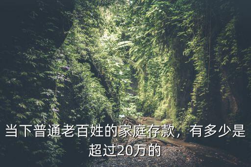 當(dāng)下普通老百姓的家庭存款，有多少是超過(guò)20萬(wàn)的