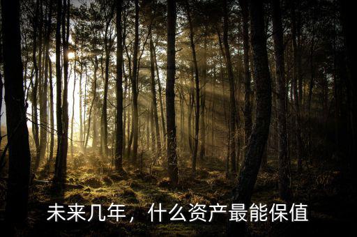 未來幾年，什么資產(chǎn)最能保值
