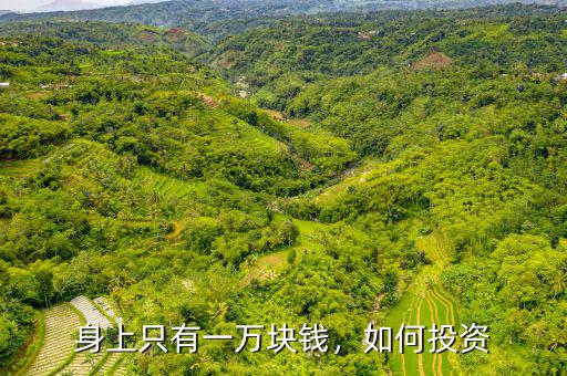 身上只有一萬(wàn)塊錢(qián)，如何投資