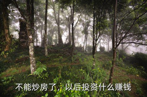 不能炒房了，以后投資什么賺錢