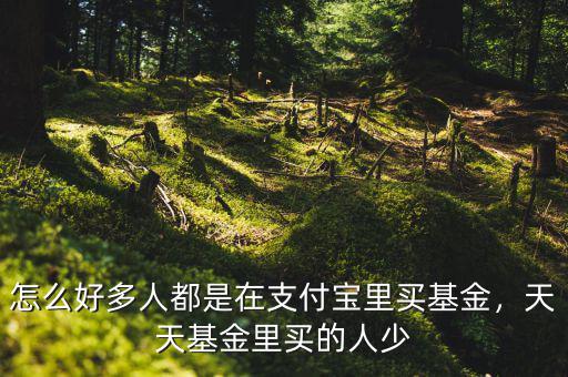 怎么好多人都是在支付寶里買(mǎi)基金，天天基金里買(mǎi)的人少