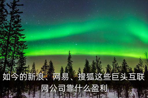 如今的新浪、網(wǎng)易、搜狐這些巨頭互聯(lián)網(wǎng)公司靠什么盈利