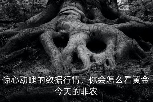驚心動魄的數(shù)據(jù)行情，你會怎么看黃金今天的非農(nóng)