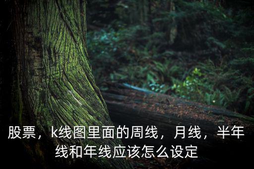 股票，k線圖里面的周線，月線，半年線和年線應(yīng)該怎么設(shè)定