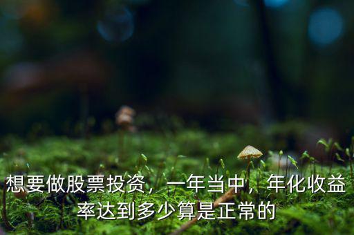 想要做股票投資，一年當(dāng)中，年化收益率達(dá)到多少算是正常的