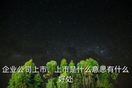 企業(yè)公司上市，上市是什么意思有什么好處