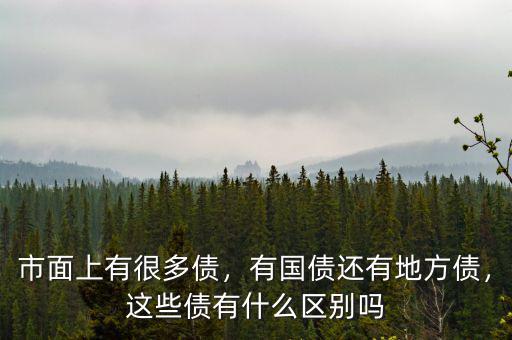 市面上有很多債，有國(guó)債還有地方債，這些債有什么區(qū)別嗎