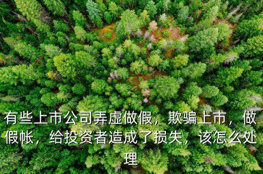 有些上市公司弄虛做假，欺騙上市，做假帳，給投資者造成了損失，該怎么處理
