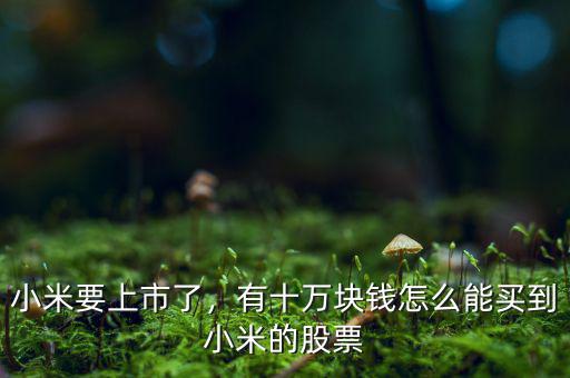 小米要上市了，有十萬(wàn)塊錢怎么能買到小米的股票