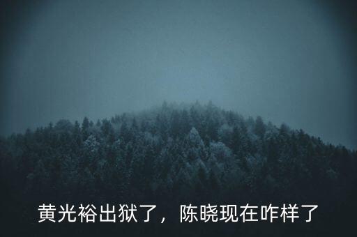 黃光裕出獄了，陳曉現(xiàn)在咋樣了