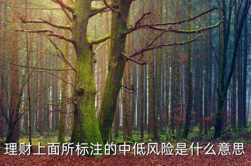 理財(cái)中低風(fēng)險什么意思,穩(wěn)健理財(cái)中低風(fēng)險