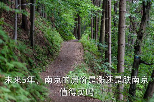 未來5年，南京的房價(jià)是漲還是跌南京值得買嗎