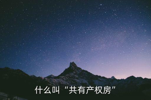 什么叫“共有產(chǎn)權房”