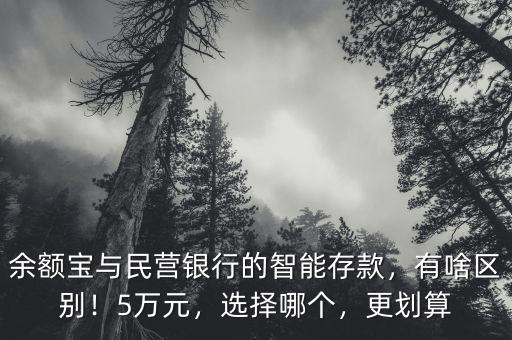 余額寶與民營(yíng)銀行的智能存款，有啥區(qū)別！5萬(wàn)元，選擇哪個(gè)，更劃算