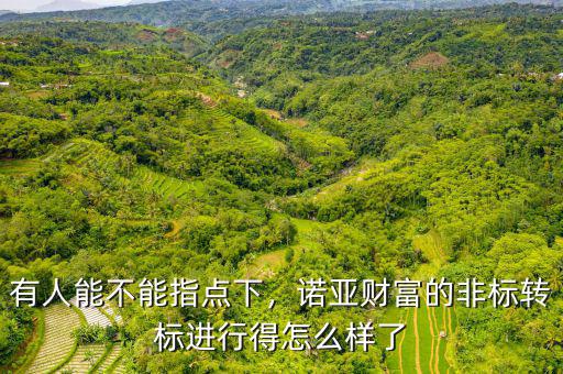 有人能不能指點(diǎn)下，諾亞財(cái)富的非標(biāo)轉(zhuǎn)標(biāo)進(jìn)行得怎么樣了