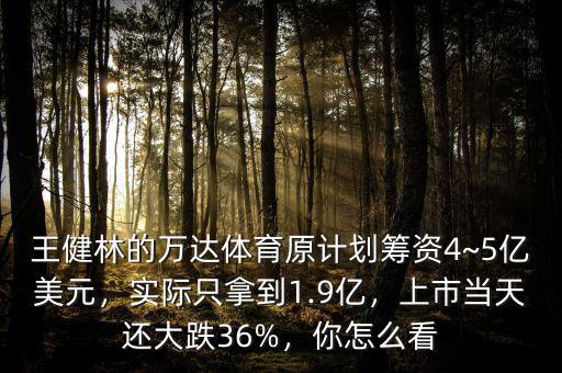 王健林的萬(wàn)達(dá)體育原計(jì)劃籌資4~5億美元，實(shí)際只拿到1.9億，上市當(dāng)天還大跌36%，你怎么看
