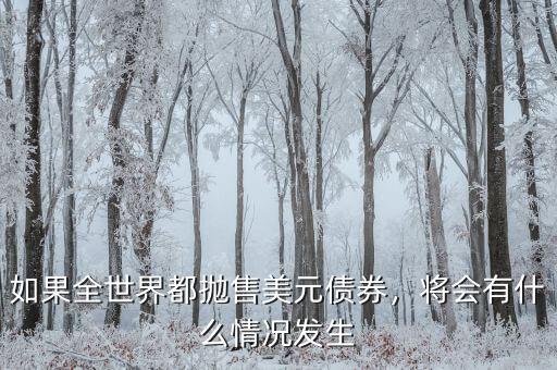 如果全世界都拋售美元債券，將會有什么情況發(fā)生