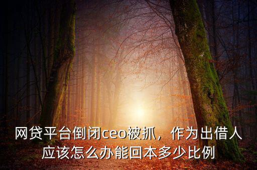 網(wǎng)貸平臺(tái)倒閉ceo被抓，作為出借人應(yīng)該怎么辦能回本多少比例