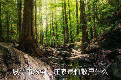 股票市場中，莊家最怕散戶什么