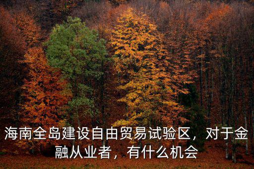 海南全島建設(shè)自由貿(mào)易試驗區(qū)，對于金融從業(yè)者，有什么機會