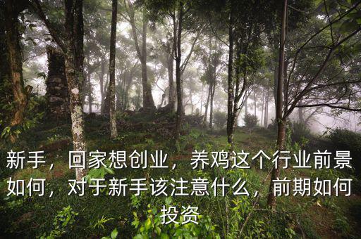 新手，回家想創(chuàng)業(yè)，養(yǎng)雞這個行業(yè)前景如何，對于新手該注意什么，前期如何投資