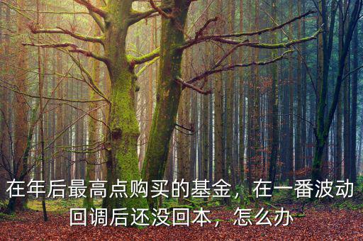 在年后最高點(diǎn)購(gòu)買的基金，在一番波動(dòng)回調(diào)后還沒(méi)回本，怎么辦