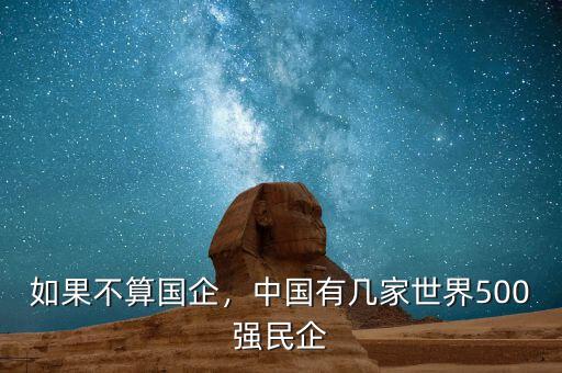 如果不算國企，中國有幾家世界500強民企
