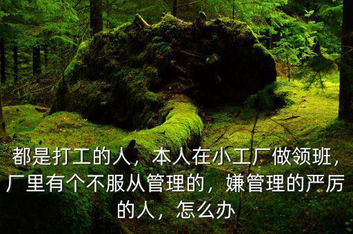 都是打工的人，本人在小工廠做領(lǐng)班，廠里有個不服從管理的，嫌管理的嚴厲的人，怎么辦