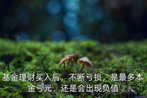 基金理財(cái)買入后，不斷虧損，是最多本金虧光，還是會出現(xiàn)負(fù)值