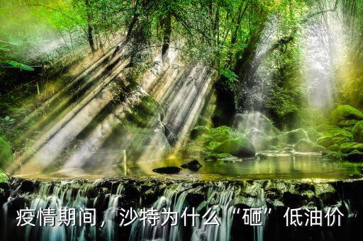 疫情期間，沙特為什么“砸”低油價(jià)