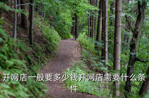 開(kāi)網(wǎng)店一般要多少錢(qián)開(kāi)網(wǎng)店需要什么條件