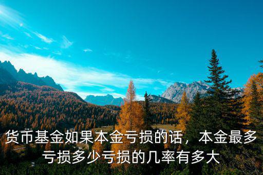 貨幣基金如果本金虧損的話，本金最多虧損多少虧損的幾率有多大