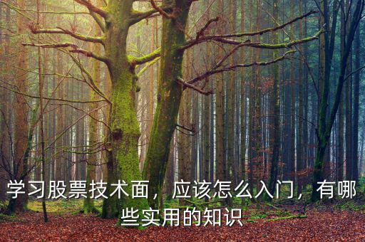 學(xué)習(xí)股票技術(shù)面，應(yīng)該怎么入門(mén)，有哪些實(shí)用的知識(shí)