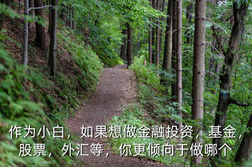作為小白，如果想做金融投資，基金，股票，外匯等，你更傾向于做哪個