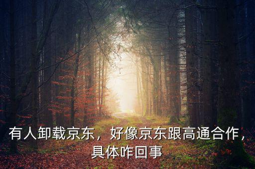 有人卸載京東，好像京東跟高通合作，具體咋回事