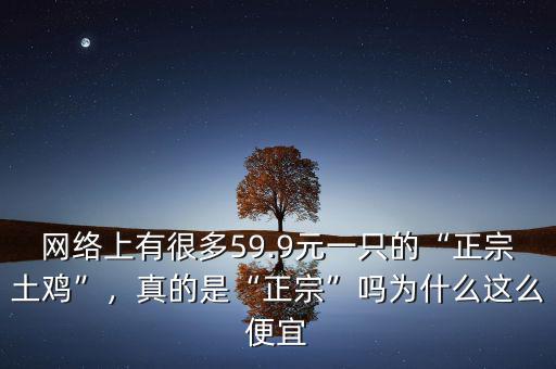 網(wǎng)絡(luò)上有很多59.9元一只的“正宗土雞”，真的是“正宗”嗎為什么這么便宜