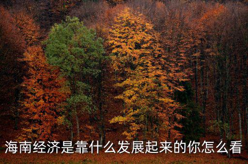 海南經濟是靠什么發(fā)展起來的你怎么看