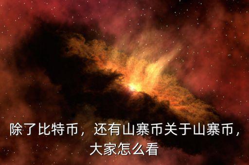 除了比特幣，還有山寨幣關(guān)于山寨幣，大家怎么看