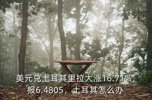 美元兌土耳其里拉大漲16.71%，報(bào)6.4805，土耳其怎么辦