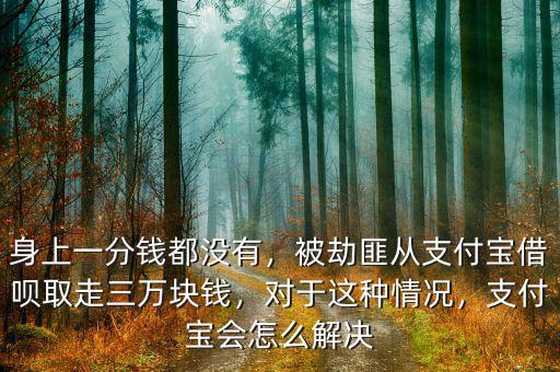 身上一分錢都沒有，被劫匪從支付寶借唄取走三萬塊錢，對于這種情況，支付寶會怎么解決