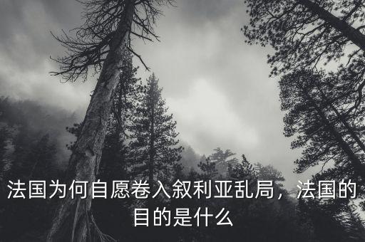 法國(guó)為何自愿卷入敘利亞亂局，法國(guó)的目的是什么