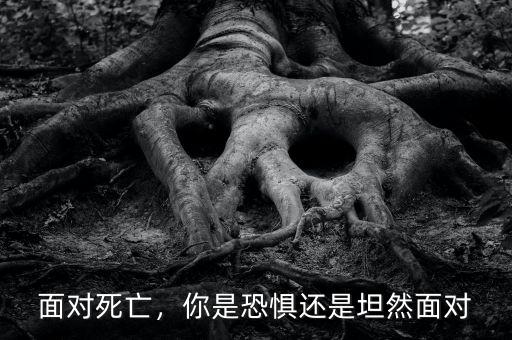 面對死亡，你是恐懼還是坦然面對