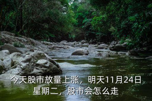 今天股市放量上漲，明天11月24日星期二，股市會(huì)怎么走