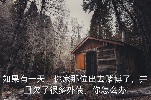 如果有一天，你家那位出去賭博了，并且欠了很多外債，你怎么辦